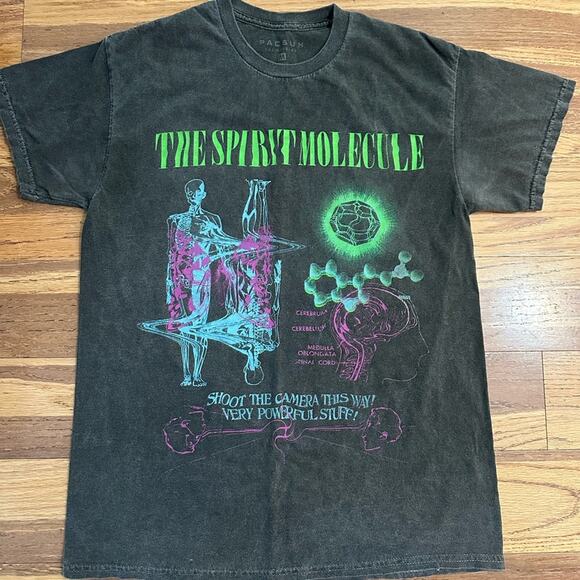 PacSun Black The Spirit Molecule Graphic T-Shirt, Distressed Fading, Medium - Picture 1 of 12
